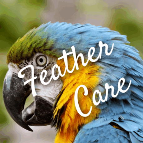Feather Care